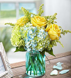 Coastal Garden Davenport Florist - Same Day Flower Delivery - Flower Power 